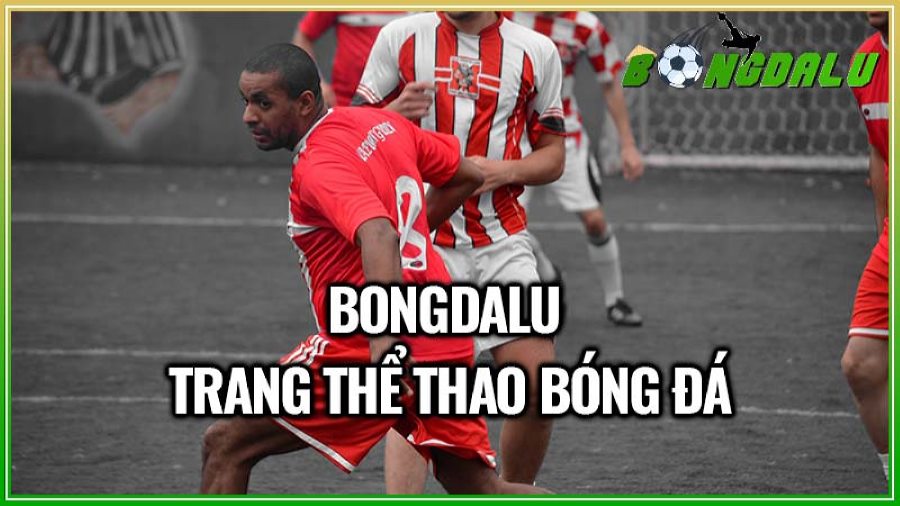 Bongdalu cung cấp dịch vụ bóng đá chất lượng